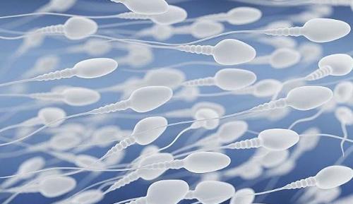 Sperm Sayısı Nasıl Arttırılır ?
